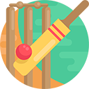 Cricket